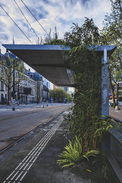 Architectuur 31