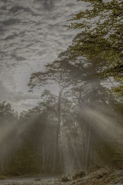 Landschap 06