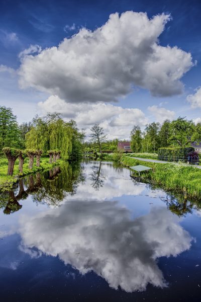 Landschap 11