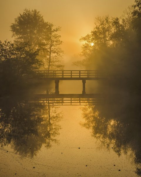 Landschap 14