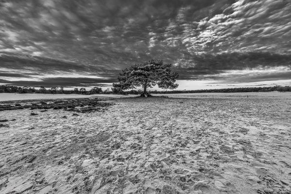 Landschap 19