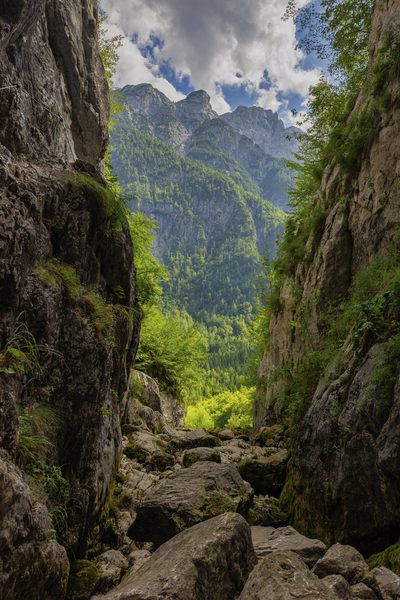 Landschap 25