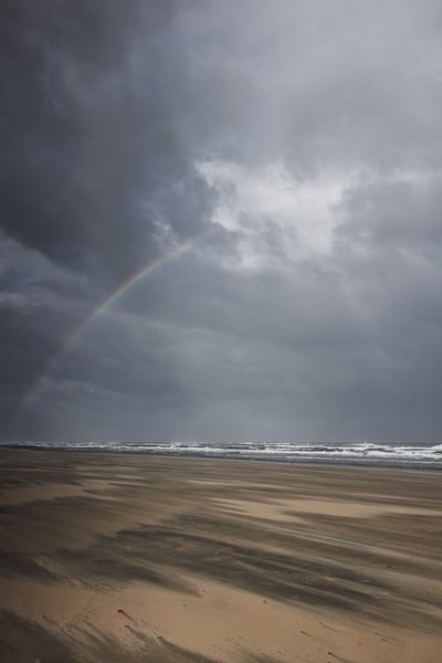 Landschap 34