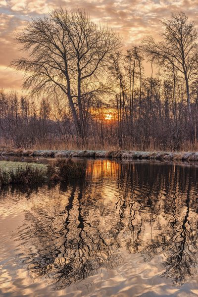 Landschap 36