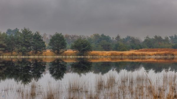 Landschap 46