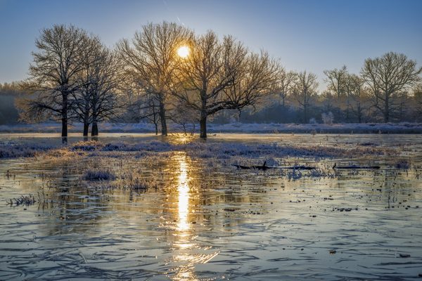 Landschap 50