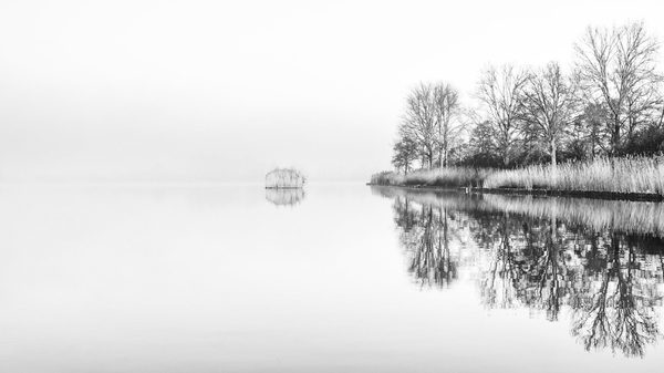 Landschap 53