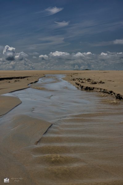 Landschap 57