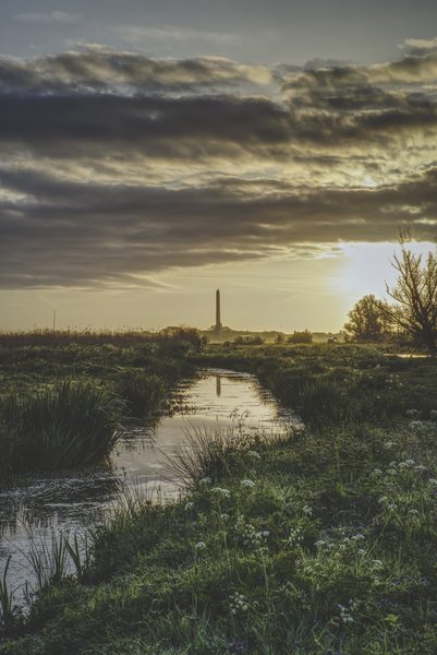 Landschap 74