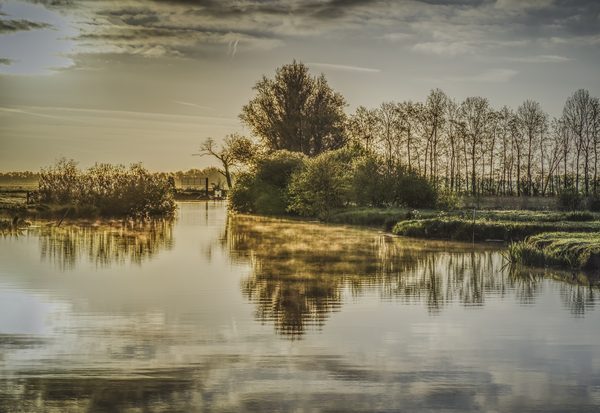 Landschap 75