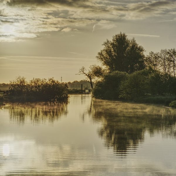 Landschap 76